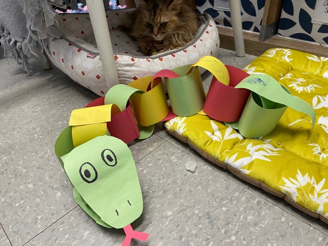 Junior PAWS: Crafts with Carly – Paper Snakes