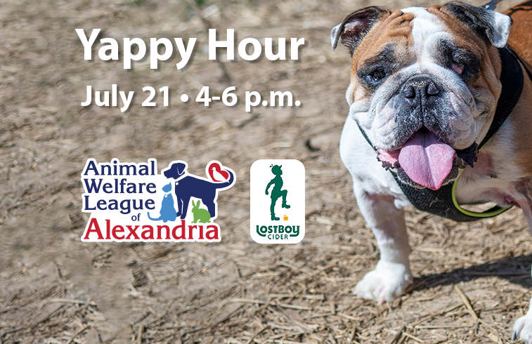 Yappy Hour at Lost Boy Cider