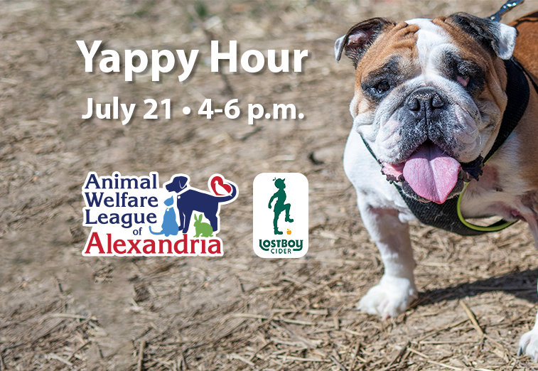 Yappy Hour at Lost Boy Cider