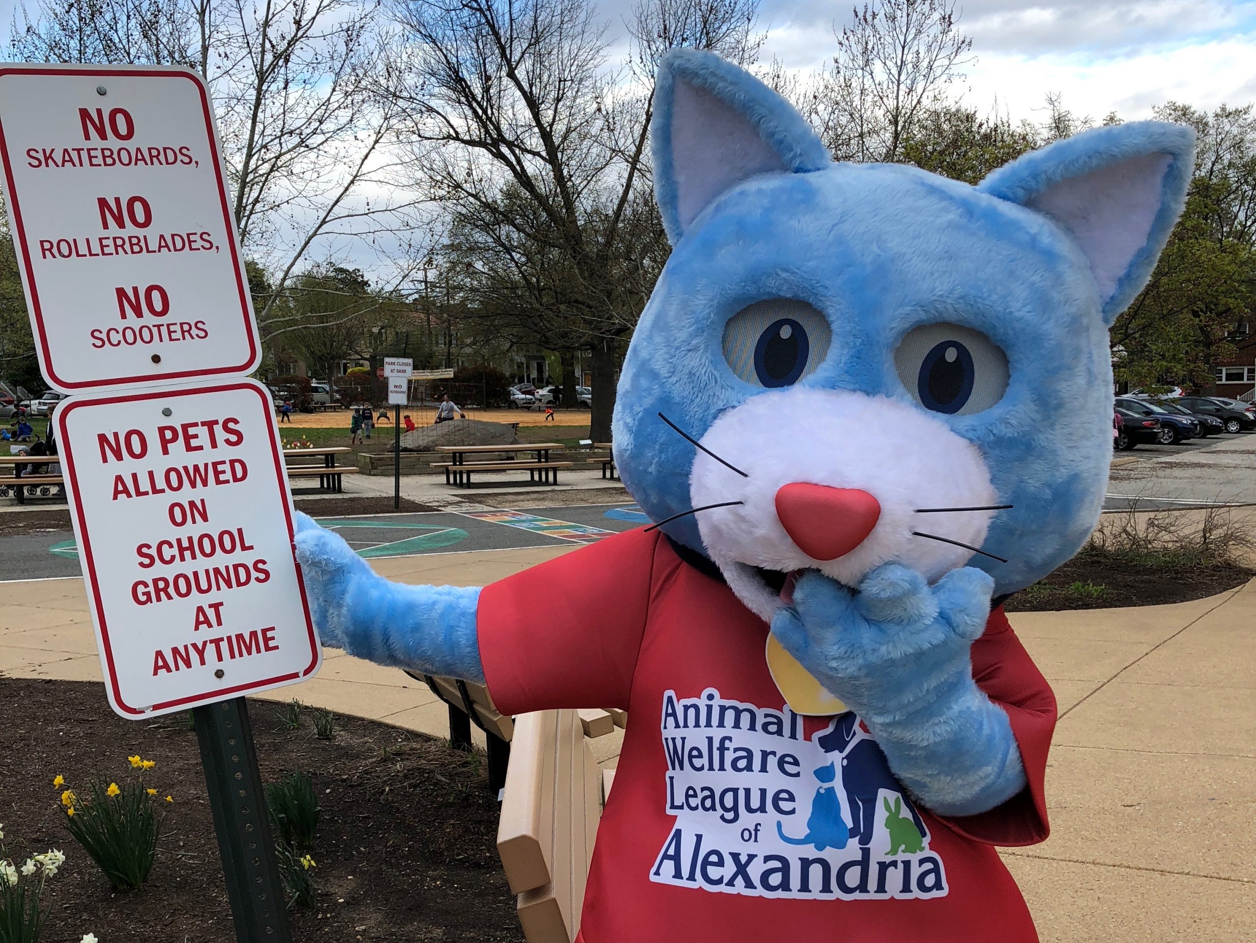 Visit The Awla Dog Parklet Alexandria Animals