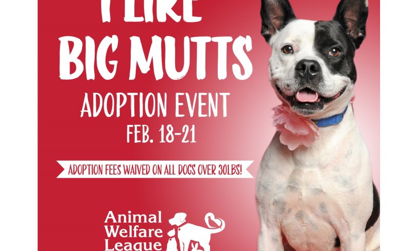 I Like Big Mutts! Adoption Event