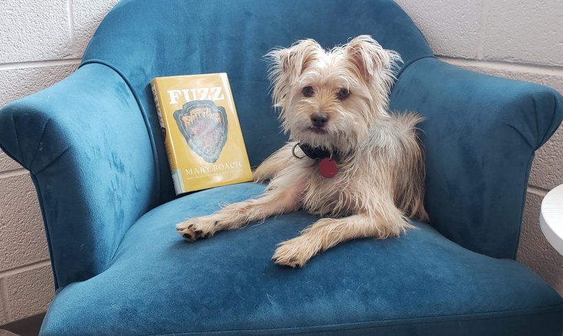 April Paws to Read Book Club – Fuzz: When Nature Breaks the Law
