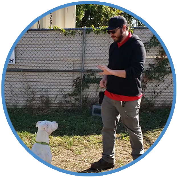 Training a Deaf Dog, Behavior and Training Help