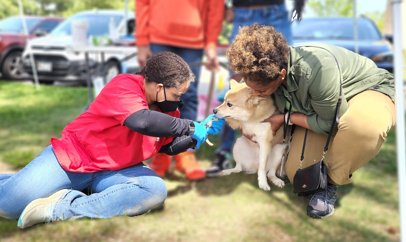 AWLA’s Pets & People Events Return Throughout the City