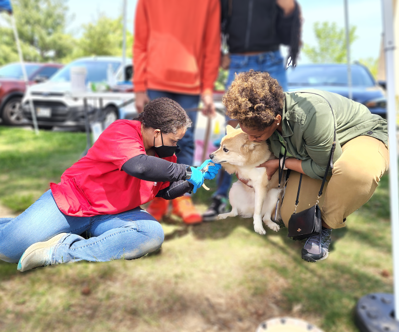 AWLA’s Pets & People Events Return Throughout the City