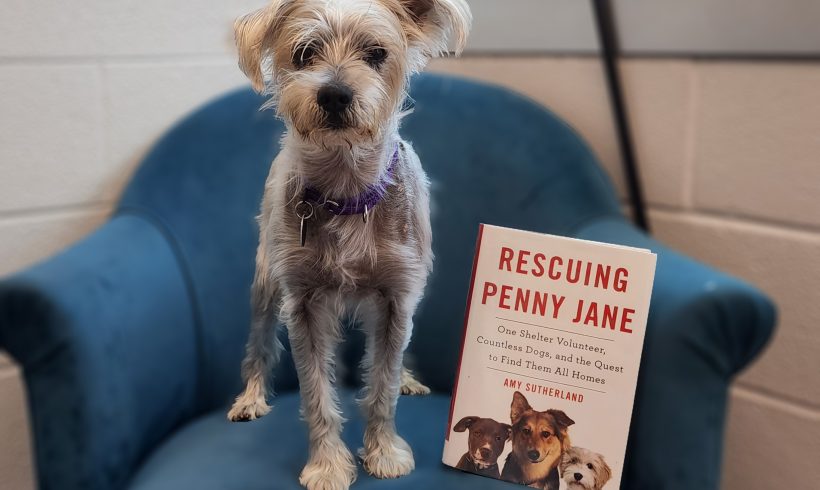 September Paws to Read Book Club Zoom Discussion – Rescuing Penny Jane