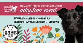 AWLA Adoption Event, March 18, 2023 @ St. Elmo's Old Town
