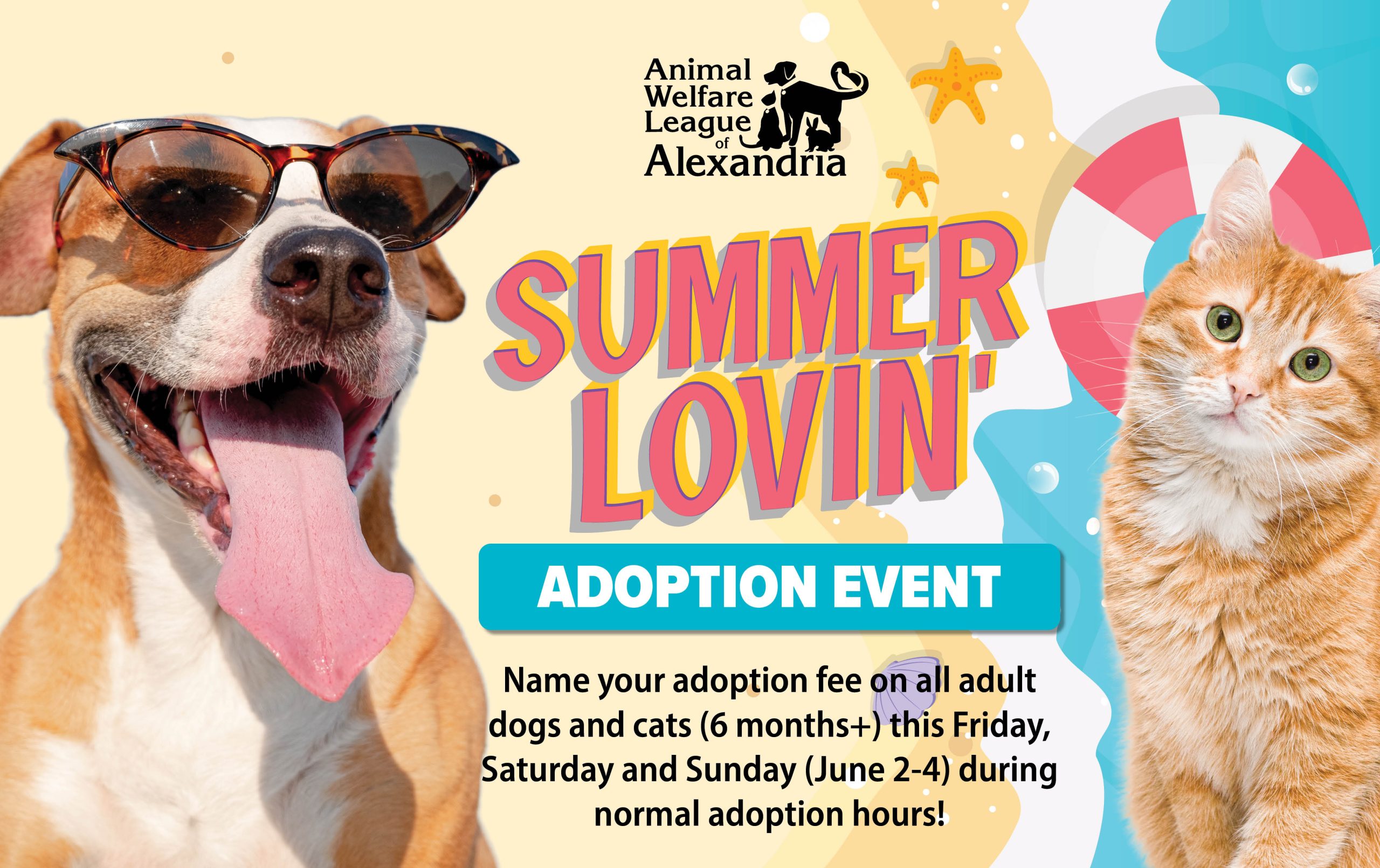 Summer Lovin' Adoption Event Alexandria Animals
