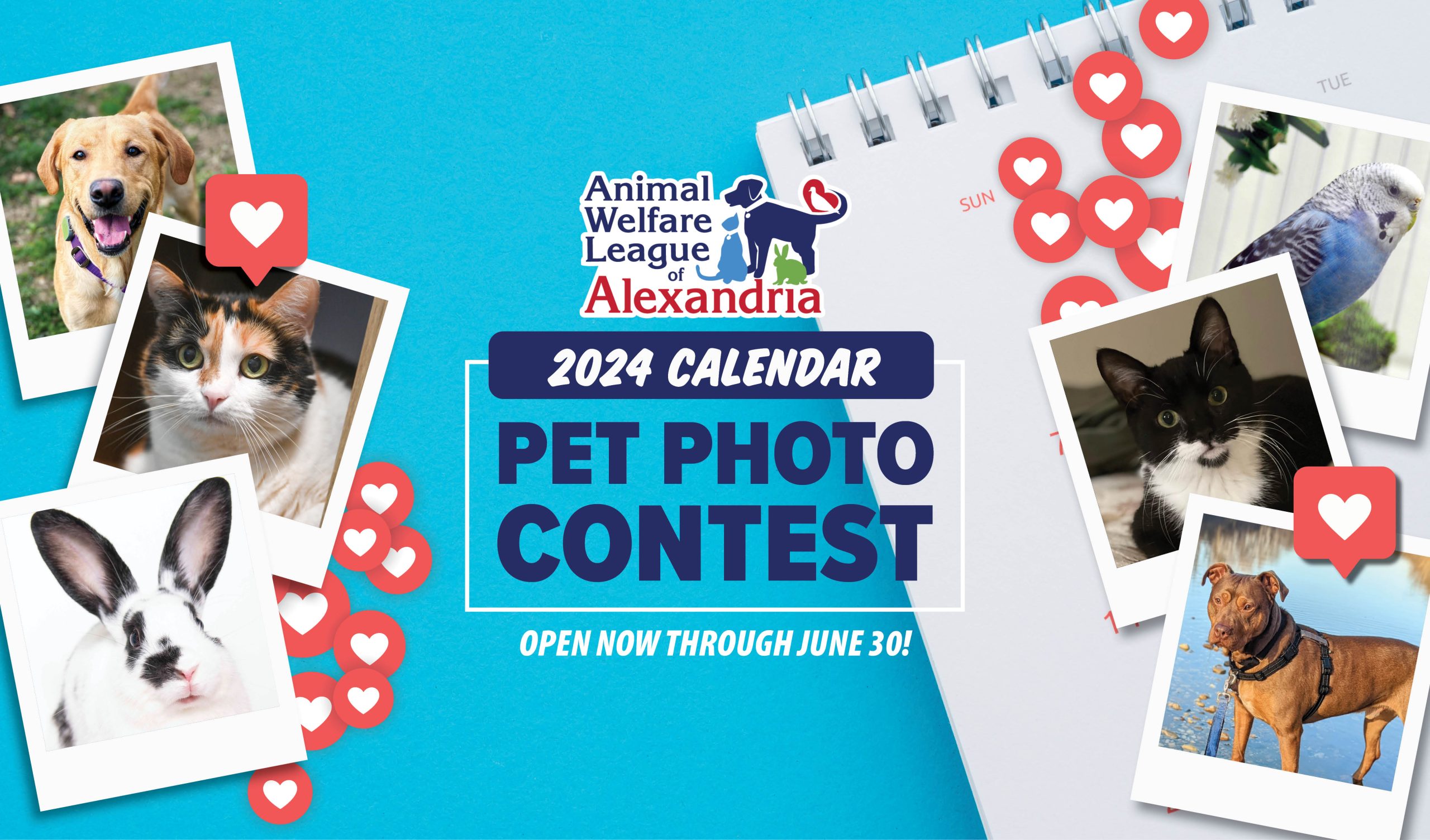 2024 Calendar Pet Photo Contest, Voting Open June 1st to June 30