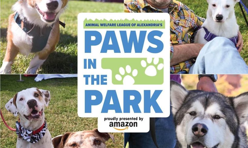 Paws in the Park 2023