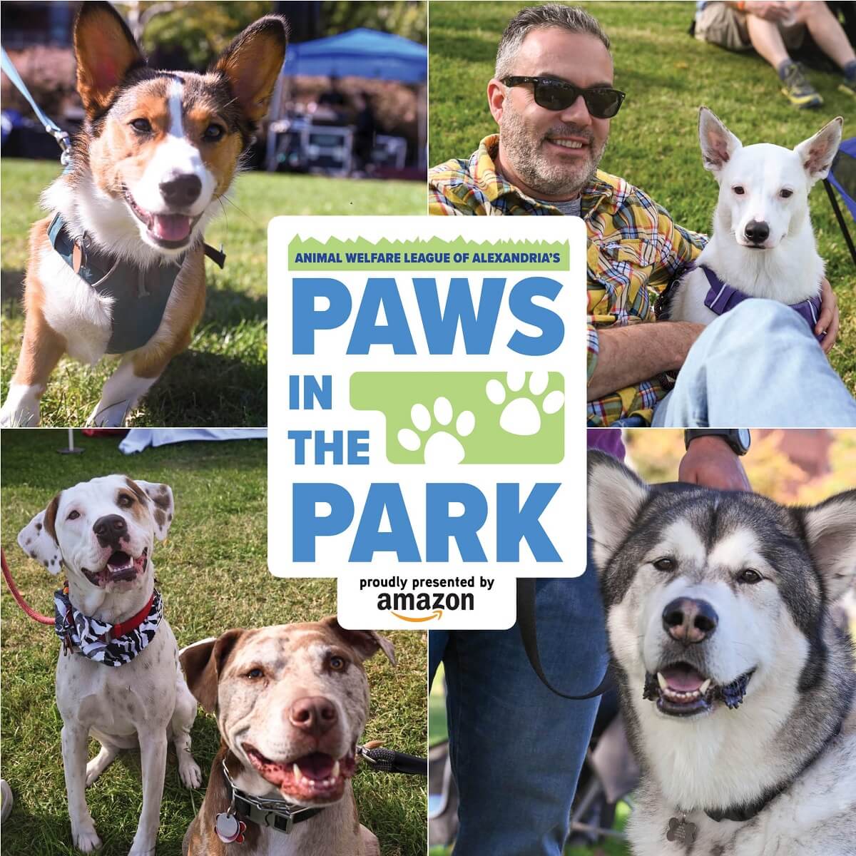 Paws in the Park event featured image of various dogs and a smiling pet parent