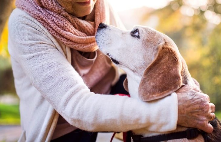 Planned Giving feature photo of dog looking up at owner