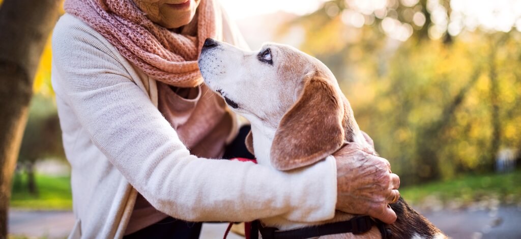 Planned Giving feature photo of dog looking up at owner
