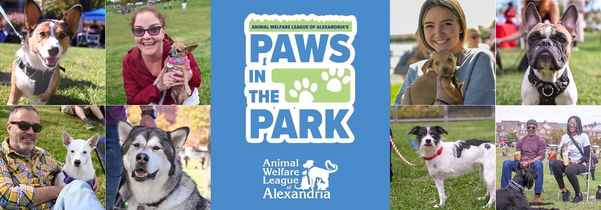 Paws in the Park flyer