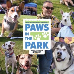 Paws in the Park, Alexandria’s Biggest Pet Festival, Set for October 15
