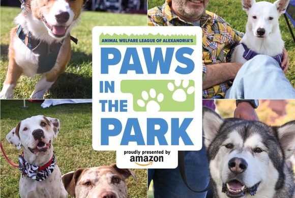 Paws in the Park, Alexandria’s Biggest Pet Festival, Set for October 15