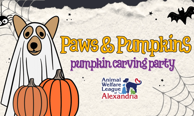 Paws & Pumpkins: Pumpkin Carving Party