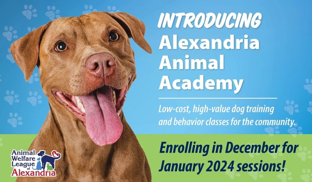 Alexandria Animal Academy, January 2024 sessions, Enroll in December
