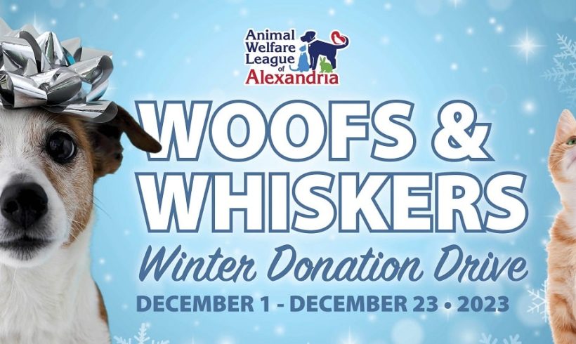 Woofs & Whiskers: Winter Donation Drive