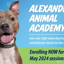 Now Enrolling for Alexandria Animal Academy