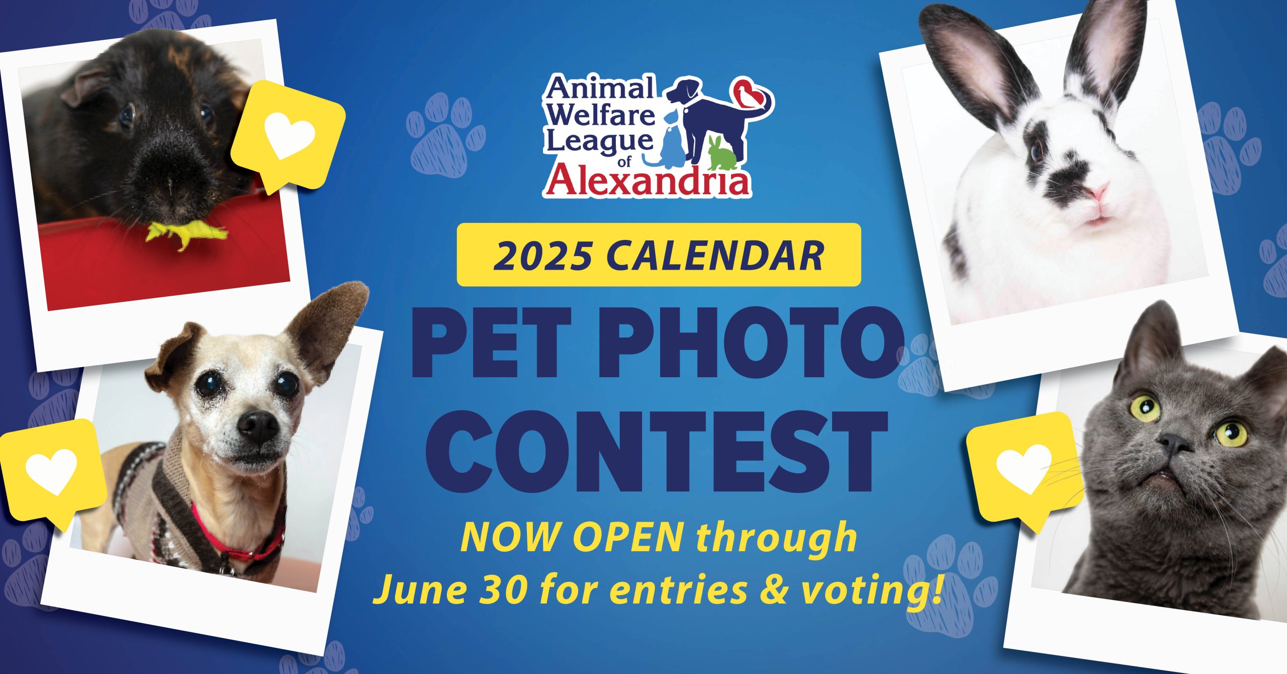 2025 Calendar Pet Photo Content at AWLA