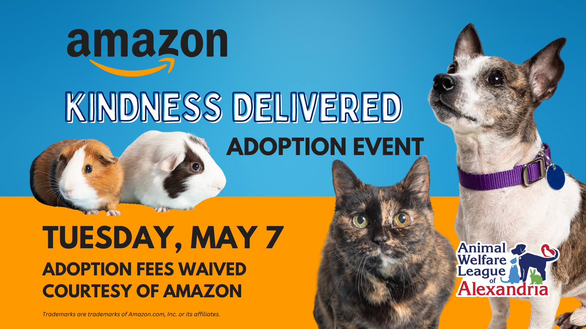 Kindness Delivered, Adoption Event, May 7, 2024, AWLA with Amazon