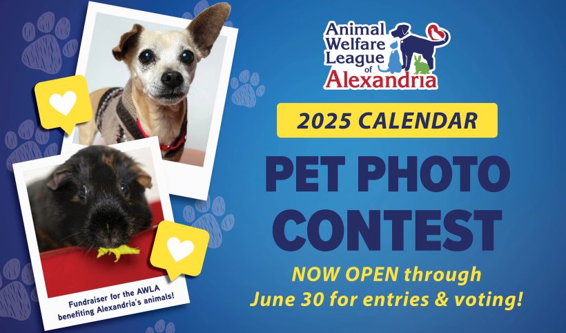 2025 Calendar Pet Photo Contest