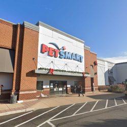 Conclusion of PetSmart PetsHotel Investigation