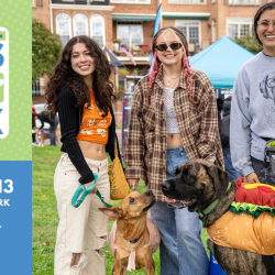 Join Us at Paws in the Park