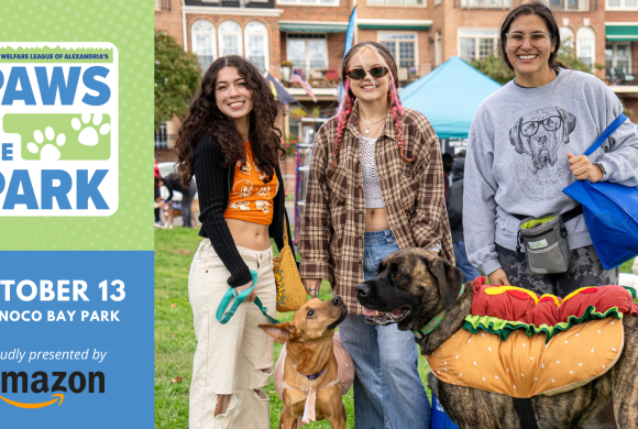 Join Us at Paws in the Park