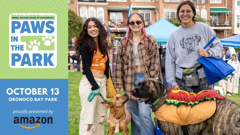 Join Us at Paws in the Park