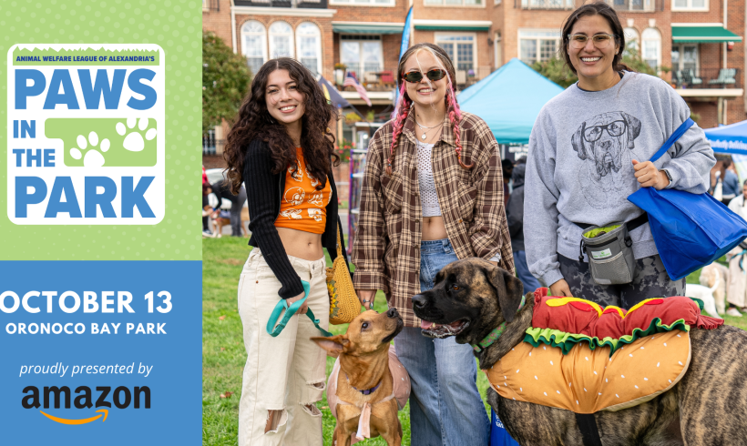 Join Us at Paws in the Park