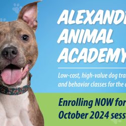 Now Enrolling for Alexandria Animal Academy