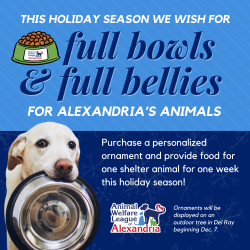 Help Us Fill Bowls and Bellies This Holiday