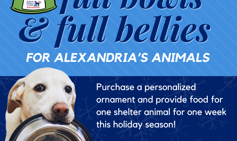 Help Us Fill Bowls and Bellies This Holiday