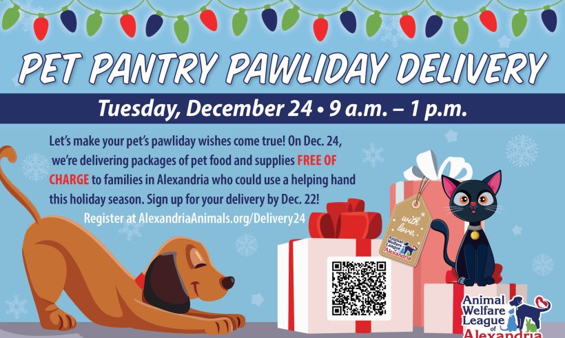 Pet Pantry Pawliday Delivery