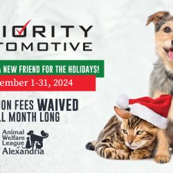 Home for the Pawlidays: Waived Adoption Fees