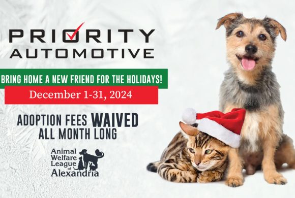 Home for the Pawlidays: Waived Adoption Fees