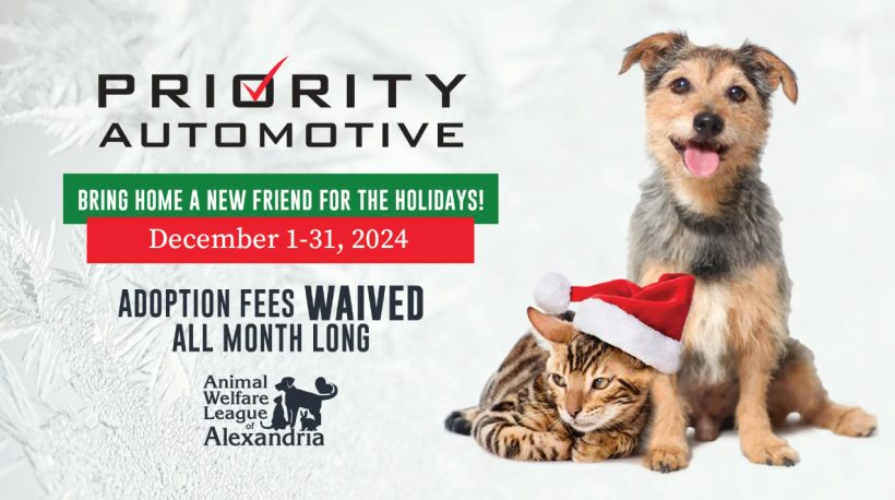 Home for the Pawlidays: Waived Adoption Fees