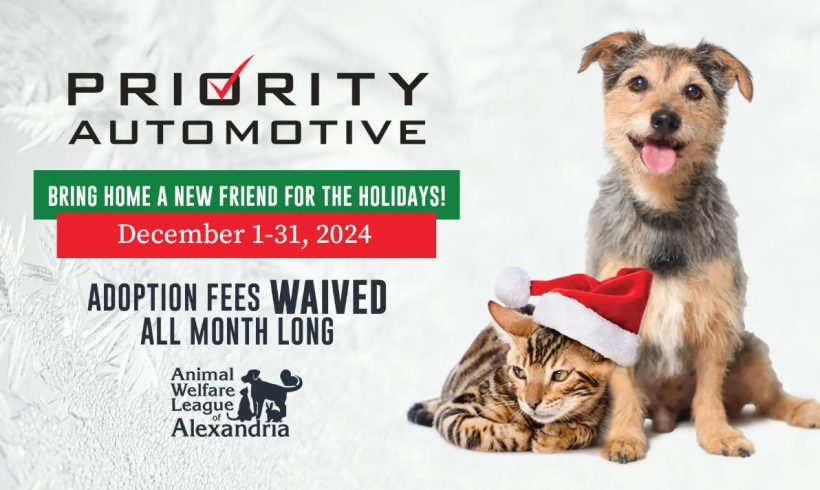 Home for the Pawlidays: Waived Adoption Fees