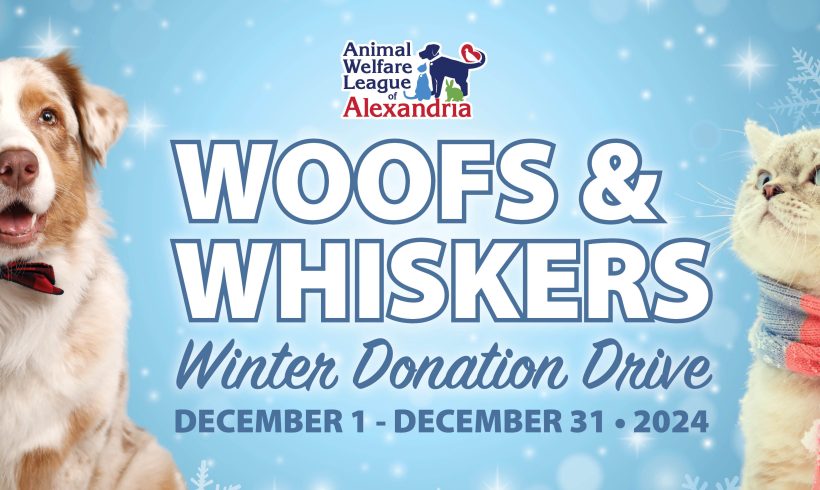 Woofs & Whiskers: Winter Donation Drive