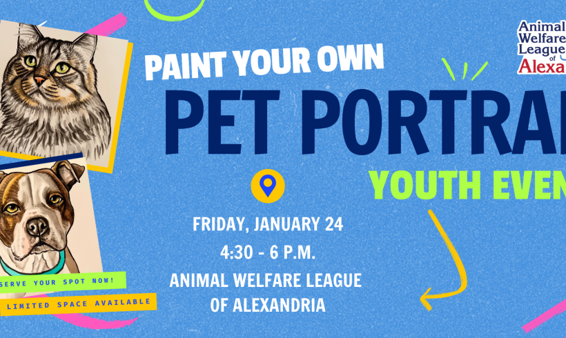 Paint Your Own Pet Portrait: Youth Event