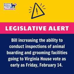 Action Needed: Ask Your House Delegate to Vote “Yes” on SB 1051