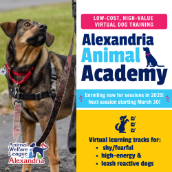 Enrolling Now for 2025 Alexandria Animal Academy Sessions