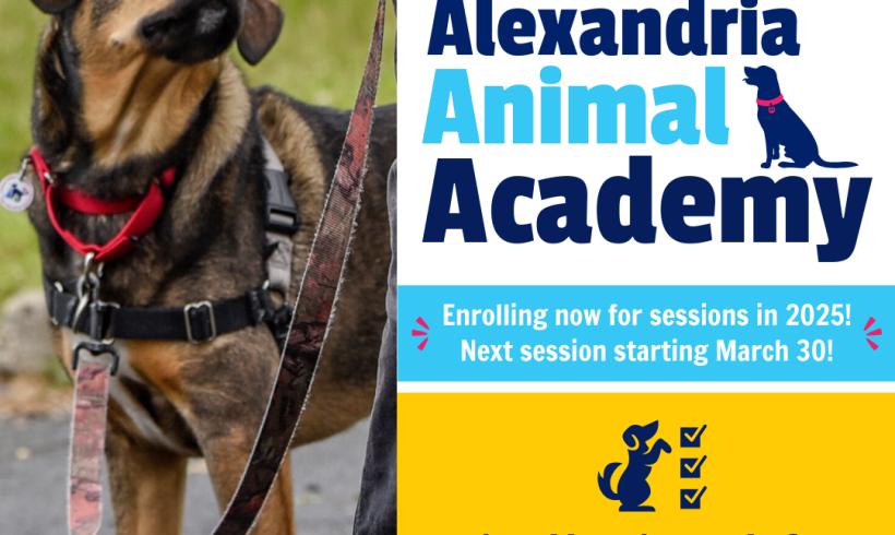 Enrolling Now for 2025 Alexandria Animal Academy Sessions