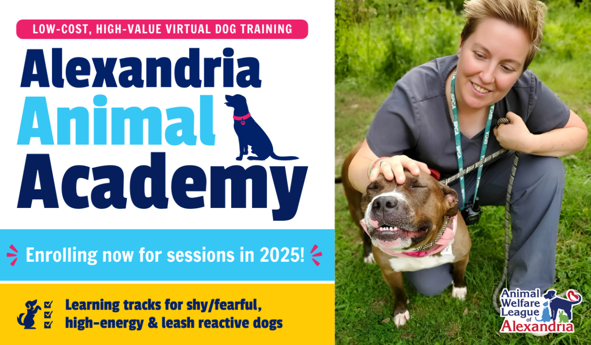 Alexandria Animal Academy 2025