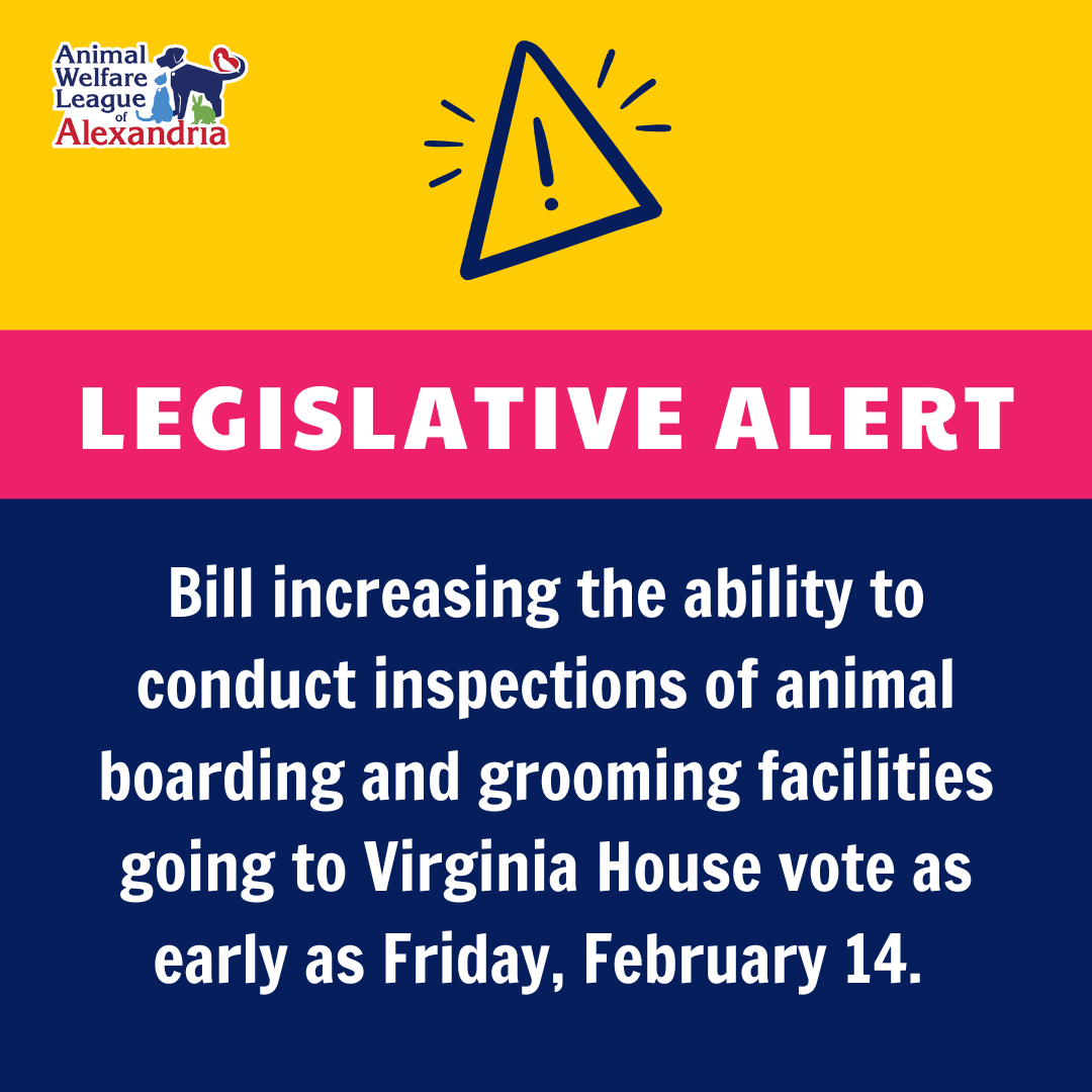Legislative Alert for Virginia House