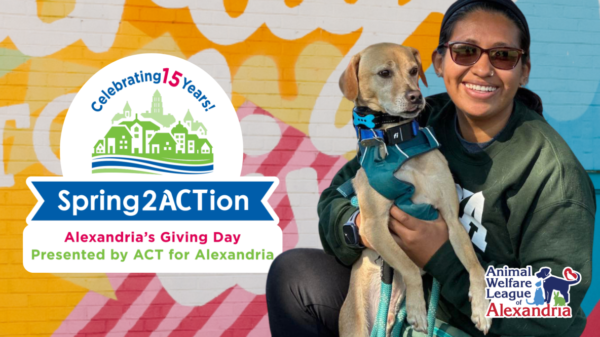 Spring2ACtion Event, Alexandria's Giving Day