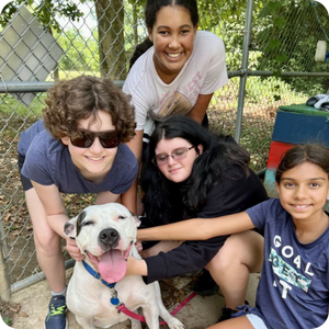 Summer Camp at AWLA