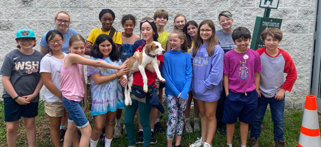 Summer Camp at AWLA